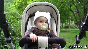 Miniature af billede nummer 1217