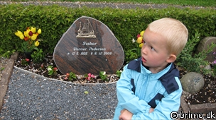 Miniature af billede nummer 1219