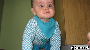 Miniature af billede nummer 1223