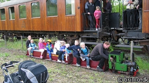 Miniature af billede nummer 1226