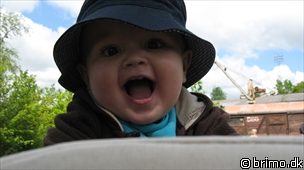 Miniature af billede nummer 1228