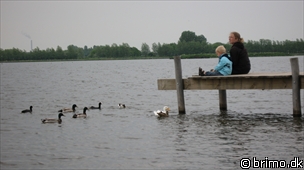 Miniature af billede nummer 1231