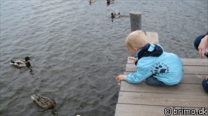 Miniature af billede nummer 1232