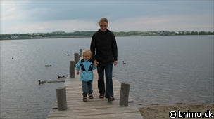 Miniature af billede nummer 1233