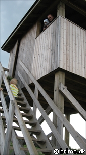 Miniature af billede nummer 1235