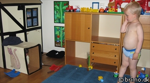 Miniature af billede nummer 1240