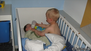 Miniature af billede nummer 1243