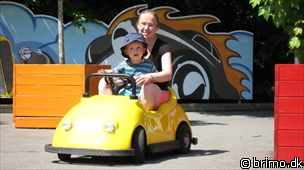 Miniature af billede nummer 1245