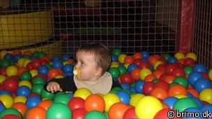 Miniature af billede nummer 1250