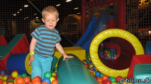 Miniature af billede nummer 1251