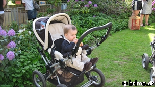 Miniature af billede nummer 1254