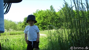 Tilfældigt billede fra Juni 2009