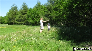 Miniature af billede nummer 1258