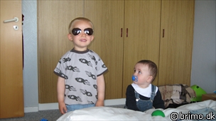 Miniature af billede nummer 1260