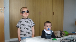 Miniature af billede nummer 1261