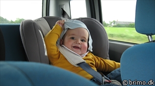 Miniature af billede nummer 1262