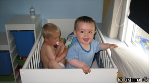 Miniature af billede nummer 1266