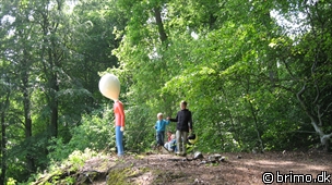 Miniature af billede nummer 1268