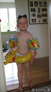 Miniature af billede nummer 1277