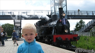 Miniature af billede nummer 1278