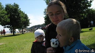 Miniature af billede nummer 1282