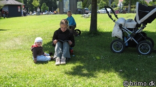 Miniature af billede nummer 1284