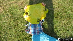 Miniature af billede nummer 1287