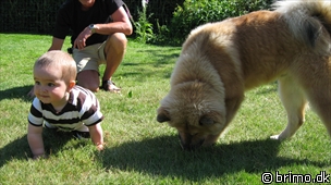 Miniature af billede nummer 1291