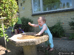 Miniature af billede nummer 1293