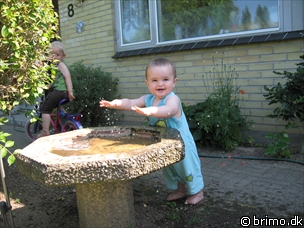 Miniature af billede nummer 1294