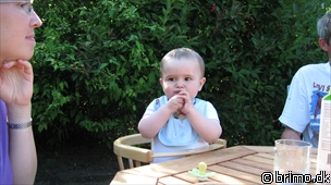 Miniature af billede nummer 1297