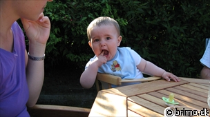 Miniature af billede nummer 1298