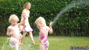 Miniature af billede nummer 1300