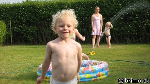 Miniature af billede nummer 1301