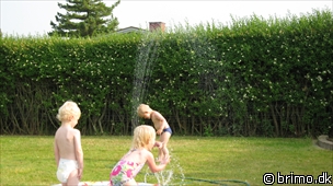 Miniature af billede nummer 1302