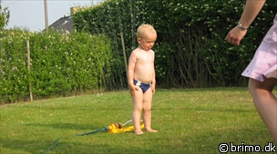 Miniature af billede nummer 1303