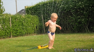 Miniature af billede nummer 1304