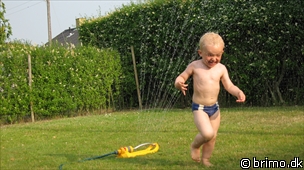 Miniature af billede nummer 1305