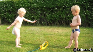 Miniature af billede nummer 1307