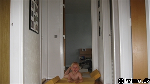 Miniature af billede nummer 1311