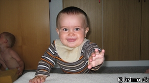 Miniature af billede nummer 1312