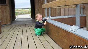 Miniature af billede nummer 1313