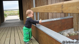 Miniature af billede nummer 1314