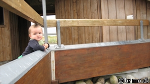 Miniature af billede nummer 1315