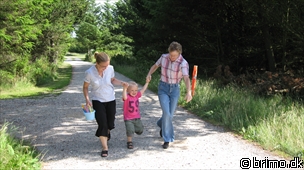 Miniature af billede nummer 1318