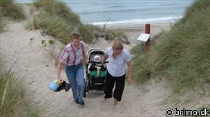 Miniature af billede nummer 1319