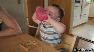 Miniature af billede nummer 1323