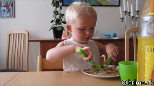 Miniature af billede nummer 1324