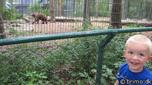 Miniature af billede nummer 1325