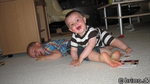 Miniature af billede nummer 1330